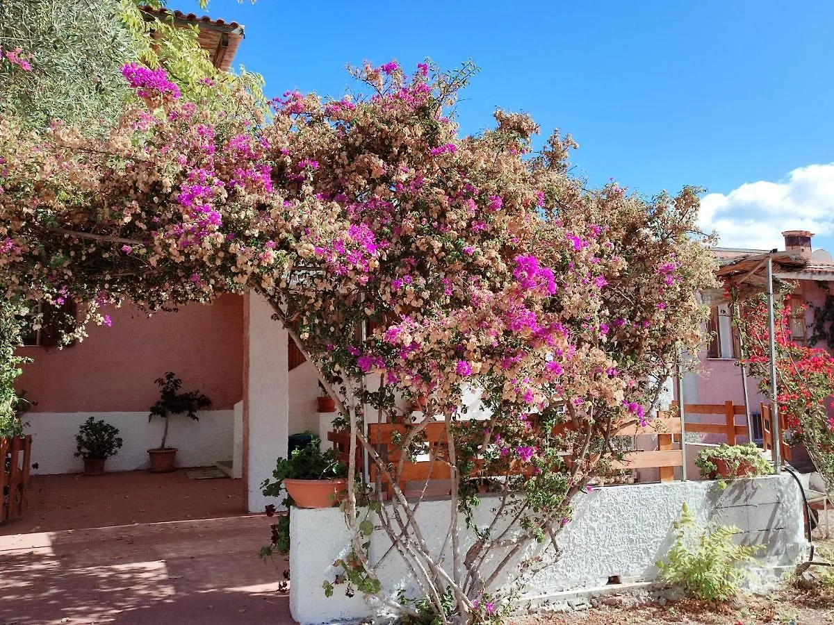 Alghero Guest House - Appartamenti In Villetta Di Campagna, Piscina Fuori Terra A 4 Minuti Di Auto Dalla Citta Apartamento