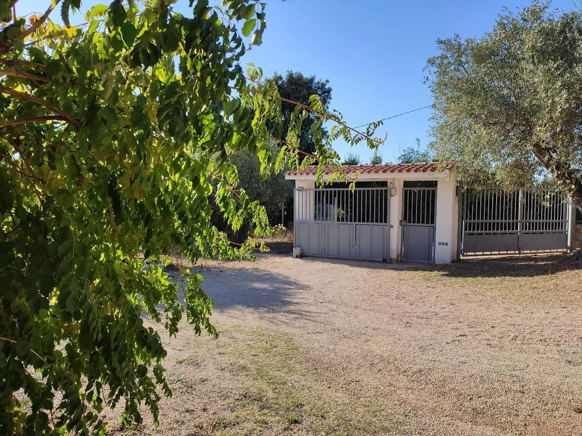 Apartamento Alghero Guest House - Appartamenti In Villetta Di Campagna, Piscina Fuori Terra A 4 Minuti Di Auto Dalla Citta Itália