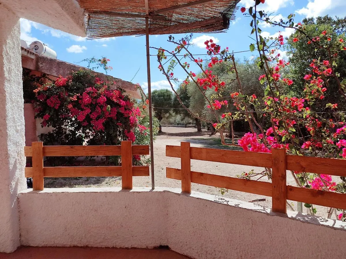 Apartamento Alghero Guest House - Appartamenti In Villetta Di Campagna, Piscina Fuori Terra A 4 Minuti Di Auto Dalla Citta